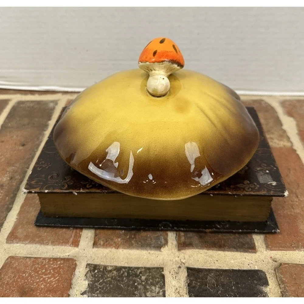 VINTAGE 70s Merry Mushroom Canister Lid Sears Brown With Orange Mushroom